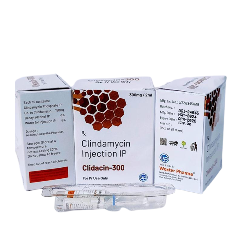 Clidacin-300